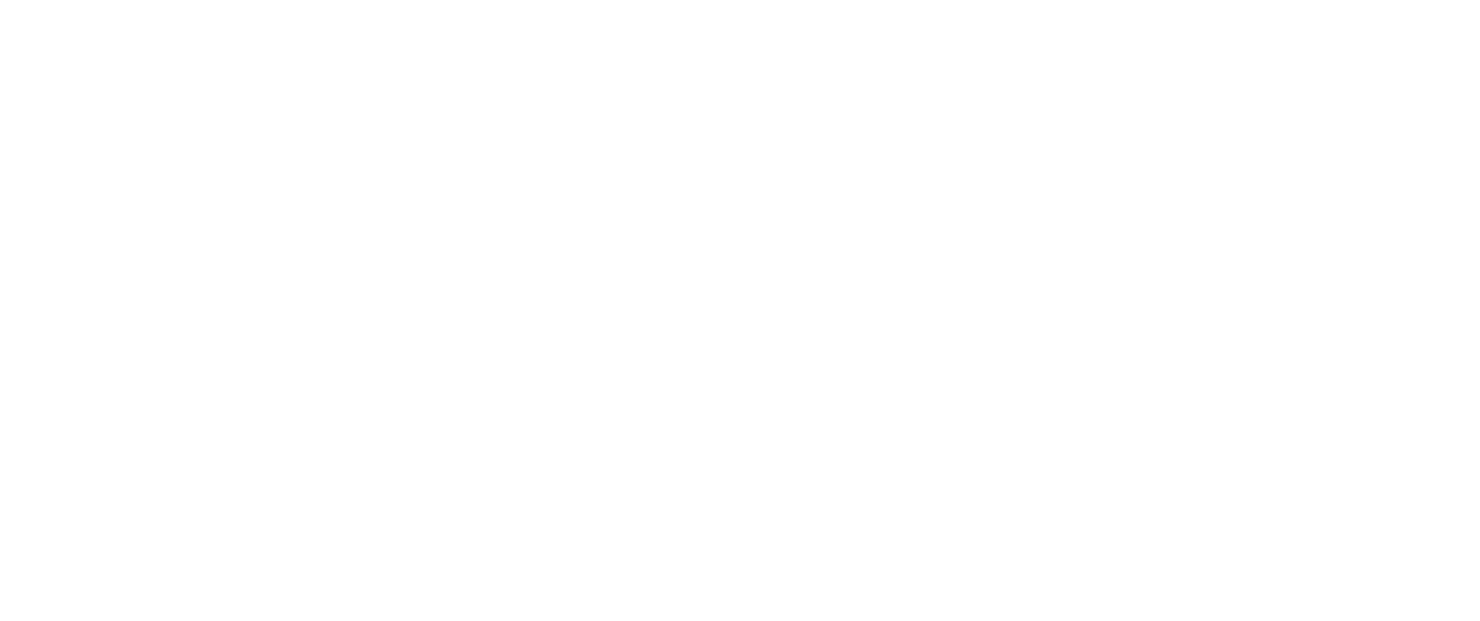CompuSafe